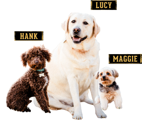 3 S&D plumbing dog mascots. Hank, Lucy, and Maggie