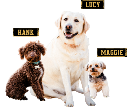 3 S&D plumbing dog mascots. Hank, Lucy, and Maggie